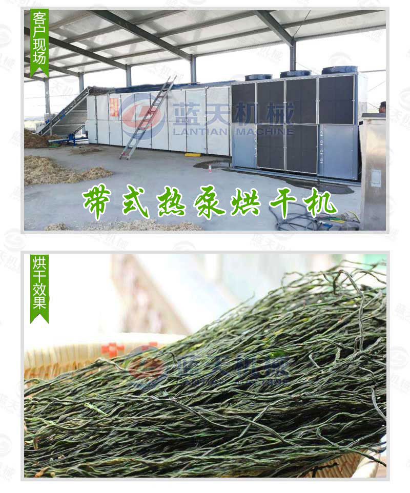 帶式槐花烘干機
